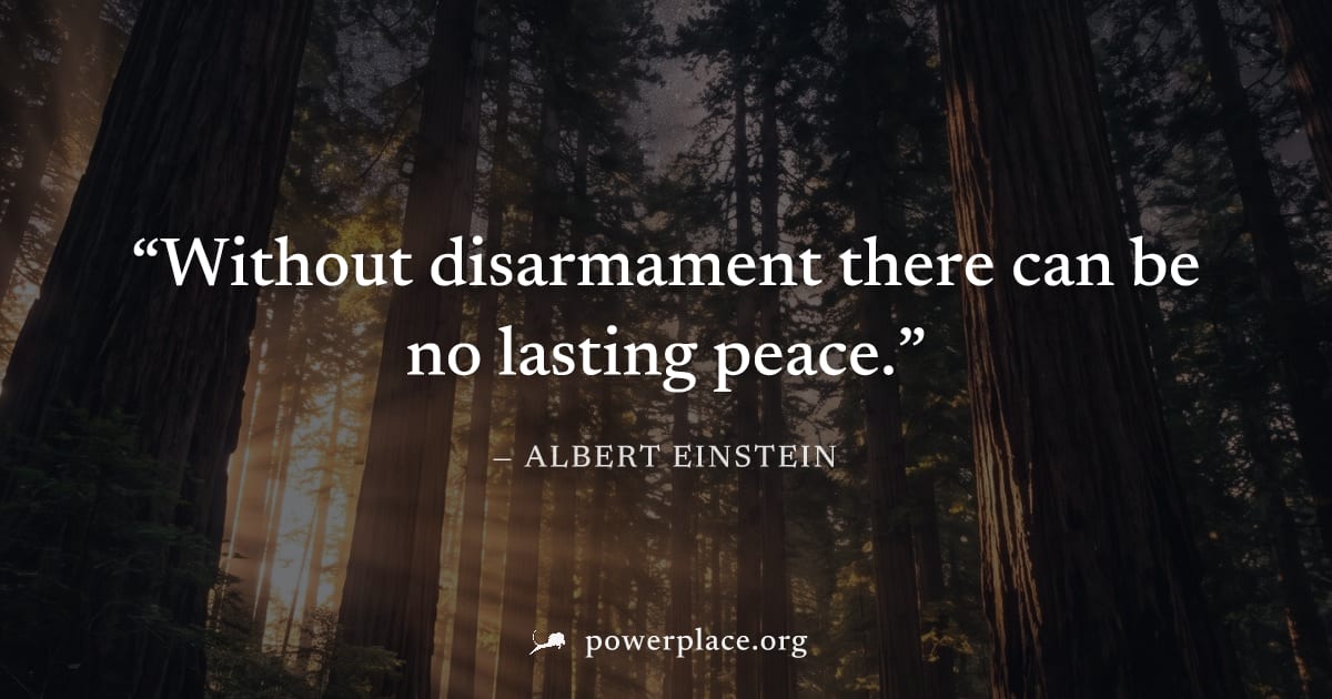 "Without disarmament there can be no lasting peace." — Albert Einstein