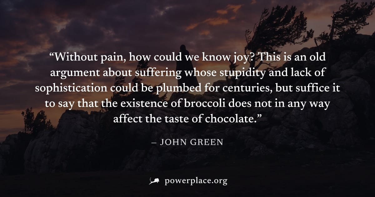"Without pain, how could we know joy? This is an old argument about suffering whose stupidity and lack of sophistication could be plumbed for centuries, but suffice it to say that the existence of bro
