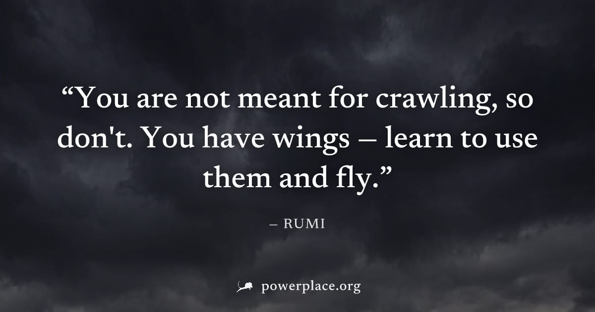 "You are not meant for crawling, so don't. You have wings — learn to use them and fly." — Rumi