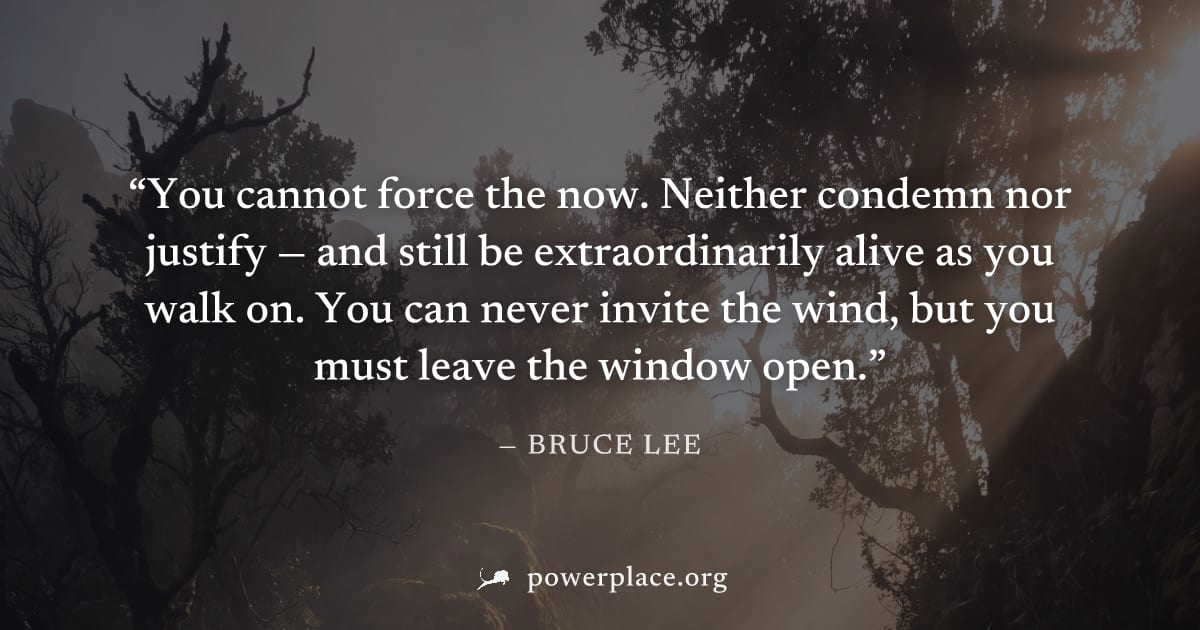"You cannot force the now. Neither condemn nor justify — and still be extraordinarily alive as you walk on. You can never invite the wind, but you must leave the window open." — Bruce Lee