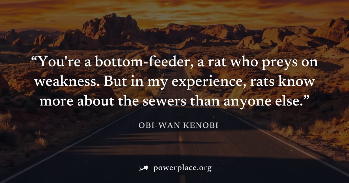 "You're a bottom-feeder, a rat who preys on weakness. But in my experience, rats know more about the sewers than anyone else." — Obi-Wan Kenobi