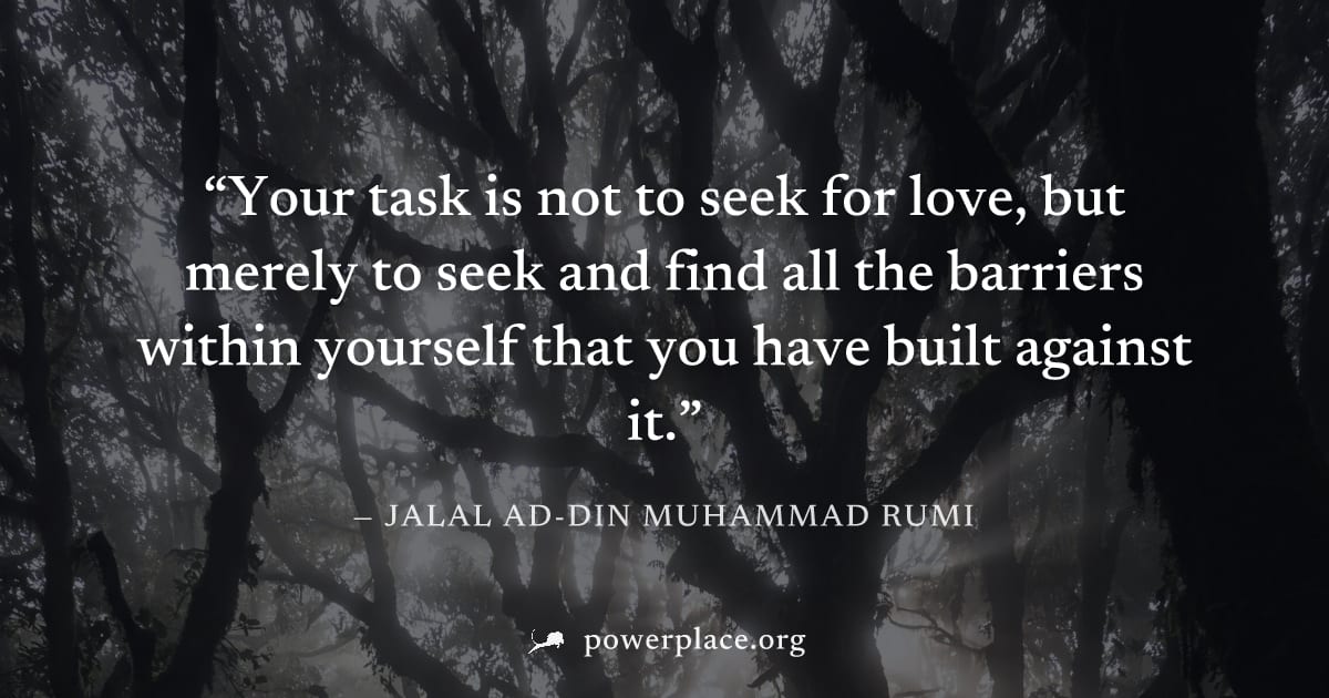 "Your task is not to seek for love, but merely to seek and find all the barriers within yourself that you have built against it." — Jalal ad-Din Muhammad Rumi